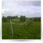 Cheb As SOOS — DSC00397.JPG