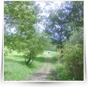 Cheb As SOOS — DSC00398.JPG