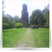Cheb As SOOS — DSC00400.JPG