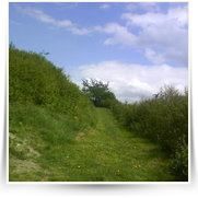Cheb As SOOS — DSC00415.JPG