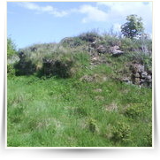 Cheb As SOOS — DSC00416.JPG