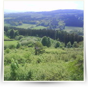 Cheb As SOOS — DSC00420.JPG