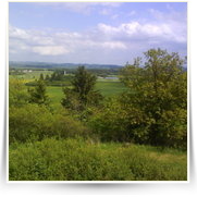 Cheb As SOOS — DSC00423.JPG