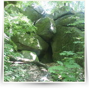 Cheb As SOOS — DSC00428.JPG