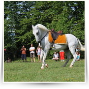 Merlet na Sychrove — IMG_6106.JPG