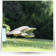 Merlet na Sychrove — IMG_6364.JPG