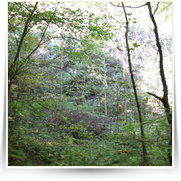 Amerika Prvni Sestup — IMG_0118.JPG
