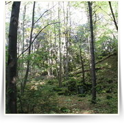Amerika Prvni Sestup — IMG_0120.JPG