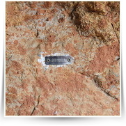 Solvajovy Lomy — IMG_0811.JPG