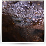 Solvajovy Lomy — IMG_0850.JPG