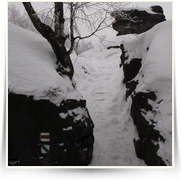 Tisske Steny — IMG_8400.JPG