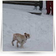 Tisske Steny — IMG_8449.JPG