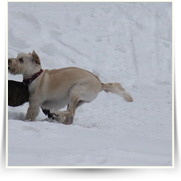 Tisske Steny — IMG_8452.JPG