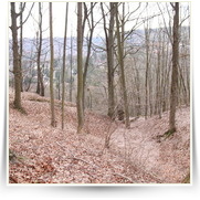 Sazava kemp — IMG_9233.JPG