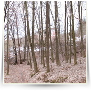 Sazava kemp — IMG_9235.JPG