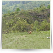 Lanovka Damil — IMG_9852.JPG