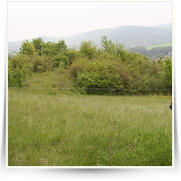 Lanovka Damil — IMG_9860.JPG