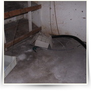 Chata — IMG_2011.JPG