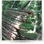 Sazava na Voru FB — 35136_1279161633312_1658172883_618588_6087692_n.jpg