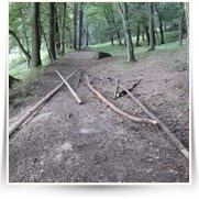 Sazava na Voru FB — 37214_1279159993271_1658172883_618577_7174994_n.jpg