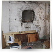 Uklid Bunkru — IMG_0871.JPG