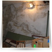 Uklid Bunkru — IMG_0872.JPG