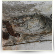 Uklid Bunkru — IMG_0874.JPG