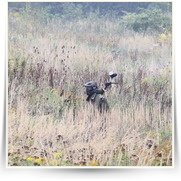 Paintball Kunice — IMG_0992.JPG