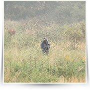 Paintball Kunice — IMG_1049.JPG