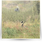 Paintball Kunice — IMG_1060.JPG