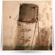 Kryt natirani a Internet — IMG_1115.JPG