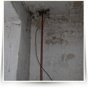 Kryt natirani a Internet — IMG_1133.JPG