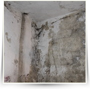 Bunkr prubeh praci — IMG_0882.JPG