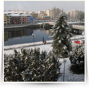 LetsDance — IMG_3154.JPG