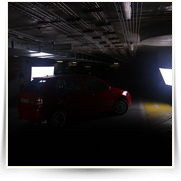 Favia RS BMW 7 — IMG_9346.JPG