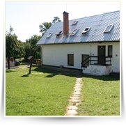 Kemp — IMG_8960.JPG