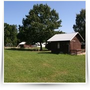Kemp — IMG_8966.JPG