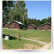 Kemp — IMG_8985.JPG