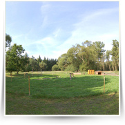 Kempy 360 — GOLF.jpg