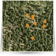 Krkonose Dvorska Bouda — mapa1.jpg